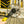 Load image into Gallery viewer, Pro BB Wrench, Shim. 16x44