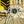 Load image into Gallery viewer, Pro BB Wrench, Shim. 16x44