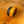 Load image into Gallery viewer, Pro BB Socket, 5pc Set