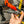 Load image into Gallery viewer, Pro Bit Driver - 2 & 2.5mm Hex, T25 Torx