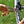Load image into Gallery viewer, Cable Puller