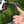 Load image into Gallery viewer, Pro T/L Handle Hex & Torx Set