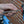 Load image into Gallery viewer, L Torx Wrench