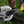 Load image into Gallery viewer, Pro Socket Handle 2.0