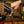 Load image into Gallery viewer, Demi Torque Wrench II & Bit Set (3-15Nm)