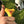 Load image into Gallery viewer, Y Wrench - 2,2.5,3