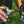 Load image into Gallery viewer, Y Wrench-T10,T25,T30