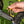 Load image into Gallery viewer, 8mm Hex Driver