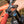 Load image into Gallery viewer, Rx Micro-10 Multitool