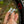 Load image into Gallery viewer, Rx Micro-21 Multitool