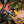 Load image into Gallery viewer, Rx Micro-21 Multitool