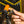 Load image into Gallery viewer, T-Handle Bit Drive